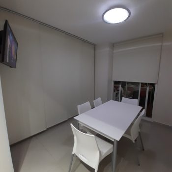 Paneles orientales - Black out blanco